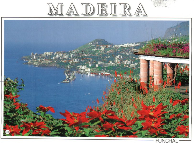 Madeira_MomDad